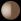 Brown-Pink-Gold